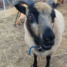 Love her sweet face!