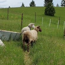 Checking out the new digs!